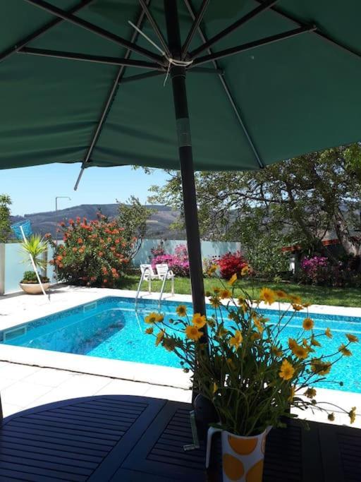 Casat5, Ferias, Piscina Privativa. Agueda, Aveiro Villa Екстериор снимка