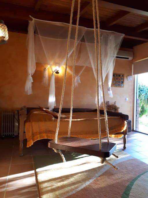 Casat5, Ferias, Piscina Privativa. Agueda, Aveiro Villa Екстериор снимка
