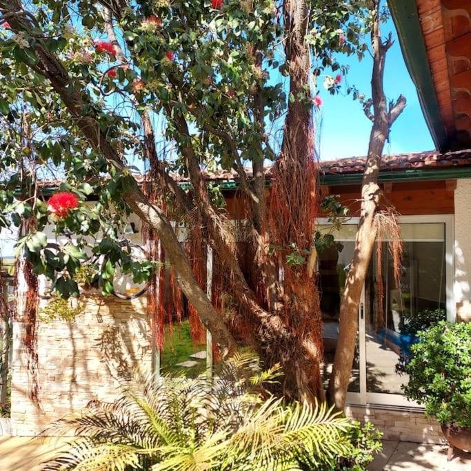 Casat5, Ferias, Piscina Privativa. Agueda, Aveiro Villa Екстериор снимка