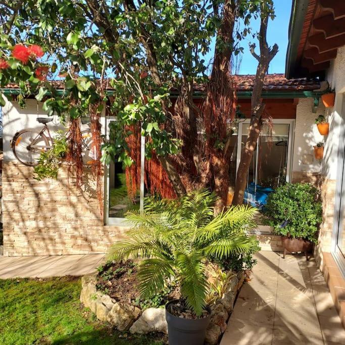 Casat5, Ferias, Piscina Privativa. Agueda, Aveiro Villa Екстериор снимка