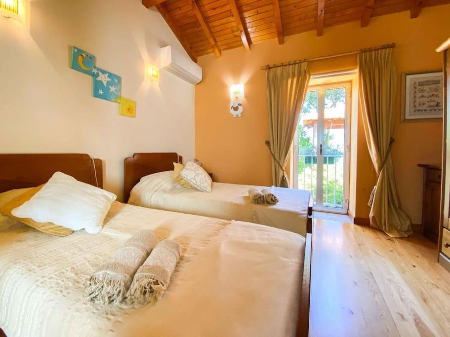 Casat5, Ferias, Piscina Privativa. Agueda, Aveiro Villa Екстериор снимка