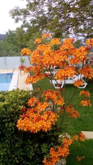 Casat5, Ferias, Piscina Privativa. Agueda, Aveiro Villa Екстериор снимка